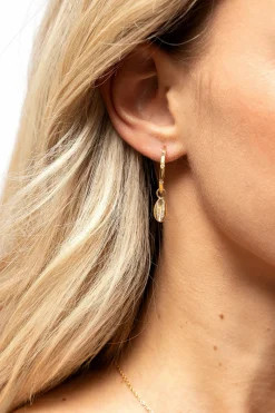 Creole 925 Sterling Silber vergoldet Zirkonia Kauri Muschel Anhänger 41185090928734