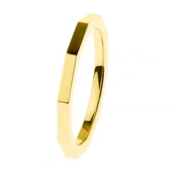 Ernstes Design Damen Ring Evia Größe 54 Gold R585.54