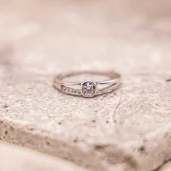 Fascination by Ellen K. Gold 375 mit Zirkonia weiß Ring 41676925894750