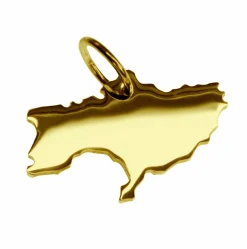 Kettenanhänger in Form der Landkarte Ukraine in massiv 333 Gelbgold