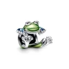 Kletternder Frosch Charm 793342C01