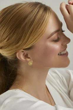 Ohrstecker 925 Silber vergoldet Münze Kompass Sonne 41184814727262