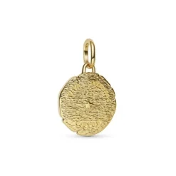 Pandora Medaillon Anhänger Goldfarben Löwe 763974C01