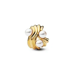 Pandora Moments Abstrakte Welle Charm 763915C01
