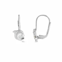 SK Basics Damen Ohrhänger Deflin mit Zirkonia Silber 5.1310.R