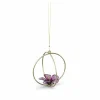SWAROVSKI Großes Hibiskus Kugel Ornament, Violett - Swarovski Garden Tales 5619233